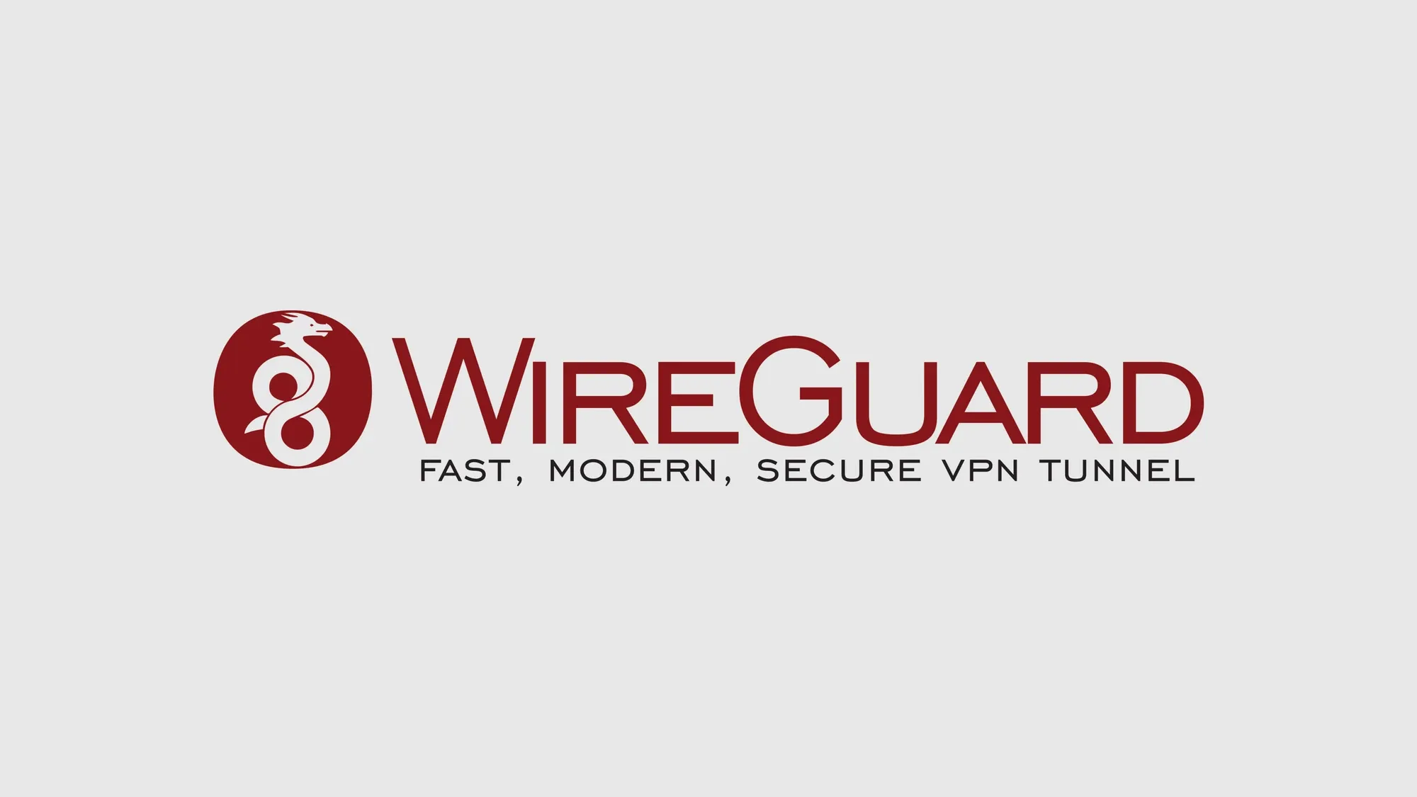 WireGuard logo.